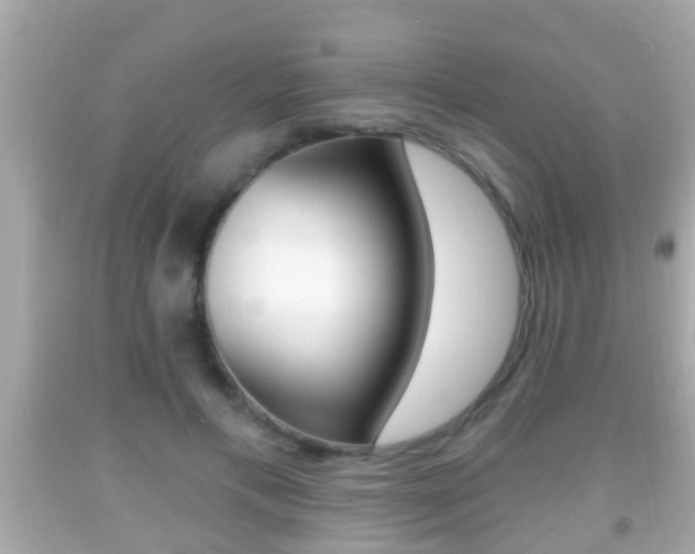 X0000092040597200709121007