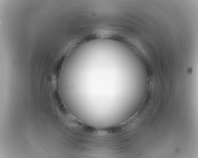 X0000092040598200709121007