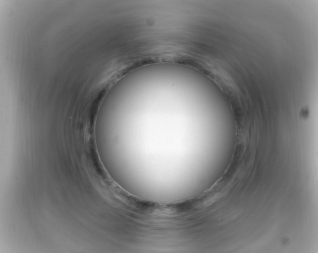X0000092040599200709121006