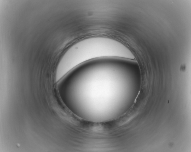 X0000092040600200709121006