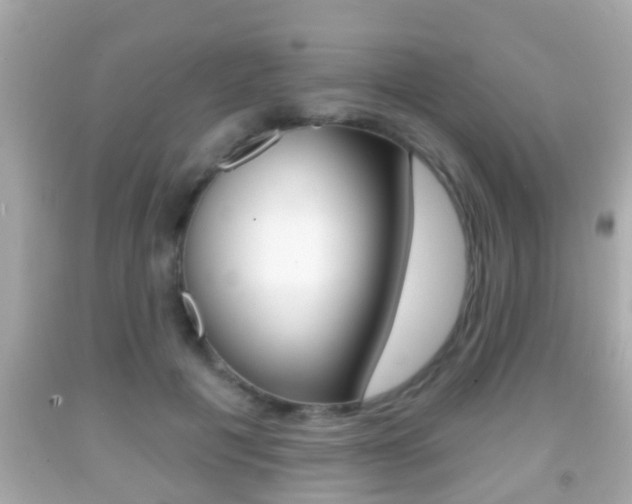 X0000092040601200709121006