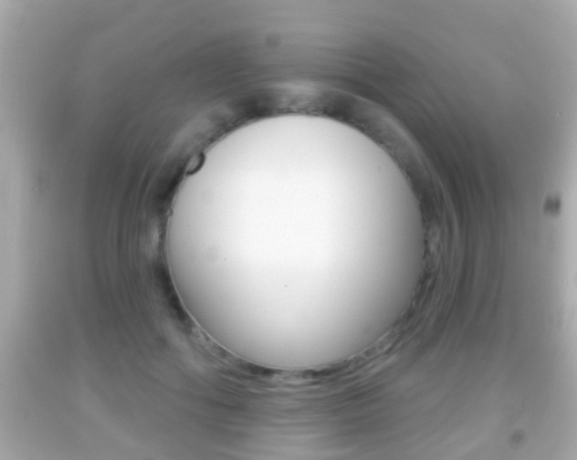 X0000092040602200709121006