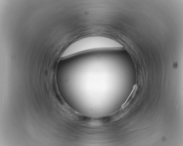 X0000092040604200709121006
