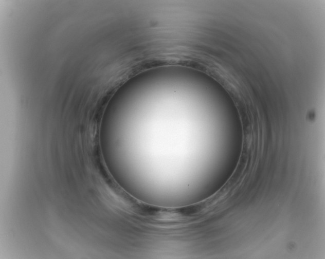 X0000092040605200709121006