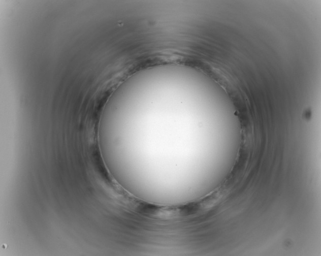 X0000092040606200709121006