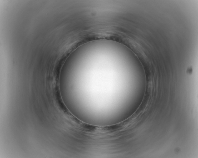 X0000092040608200709121006