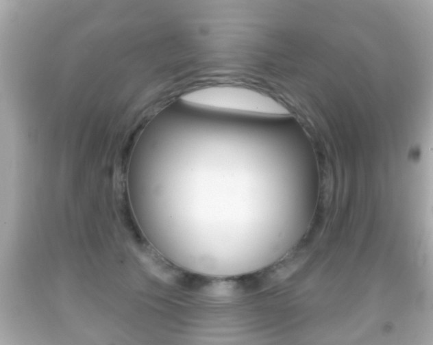 X0000092040609200709121006