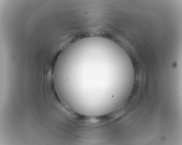 X0000092040610200709121006