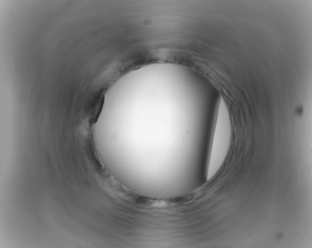 X0000092040611200709121006