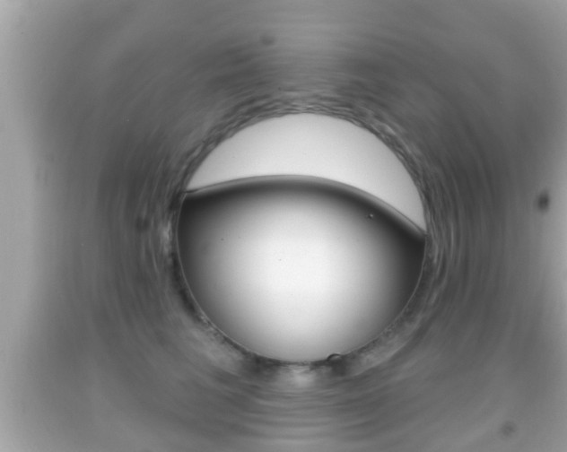 X0000092040613200709121006