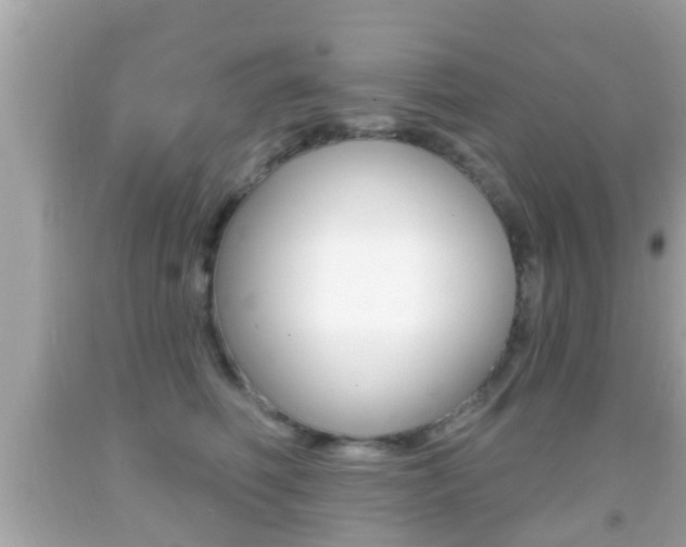 X0000092040614200709121006