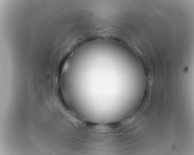 X0000092040615200709121006