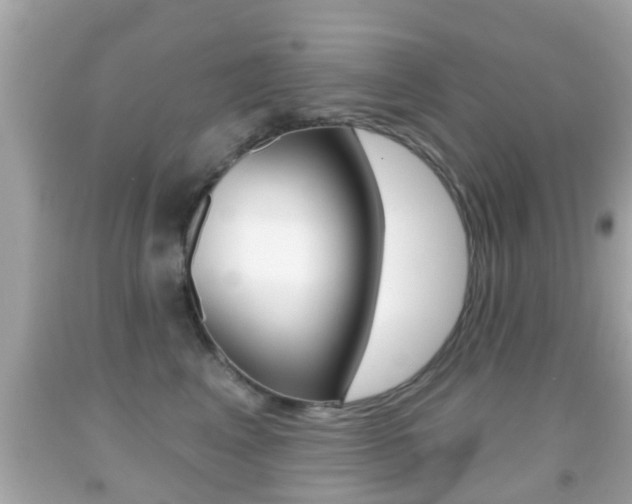X0000092040617200709121006