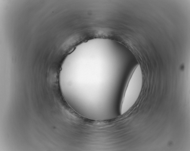 X0000092040619200709121006
