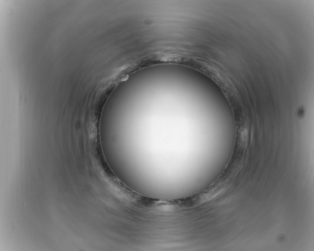 X0000092040620200709121006