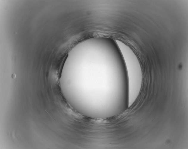 X0000092040621200709121006
