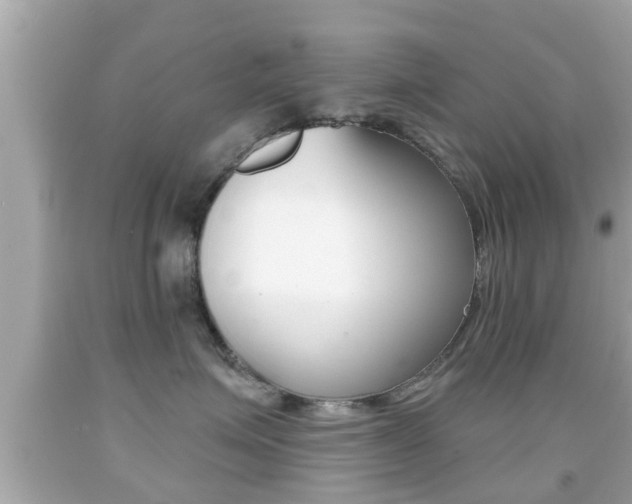 X0000092040623200709121006