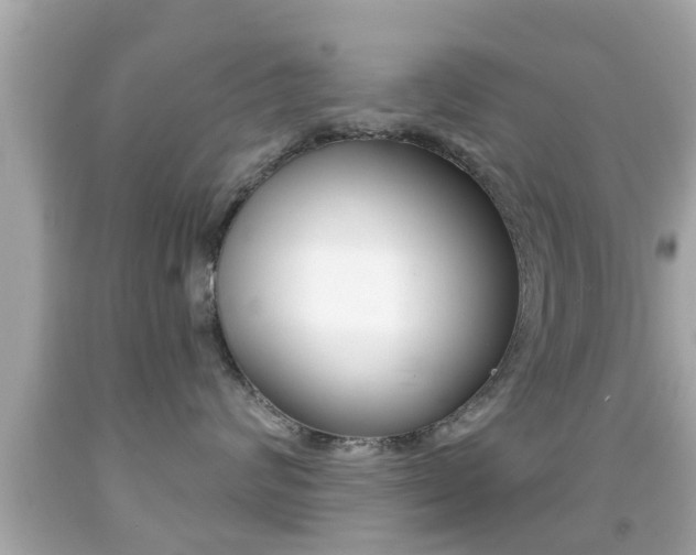 X0000092040624200709121006