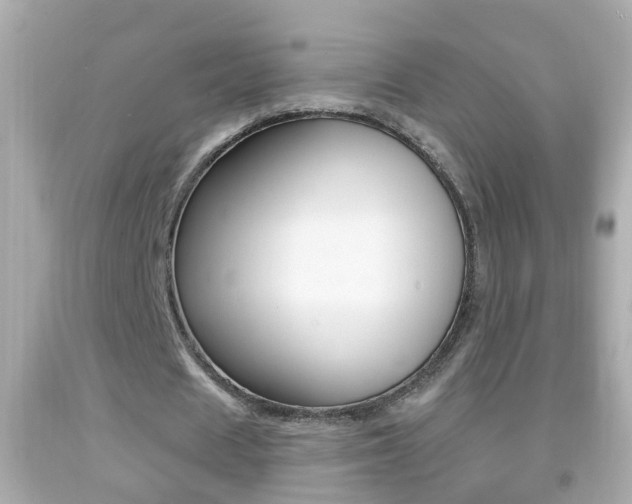 X0000092040625200709121006