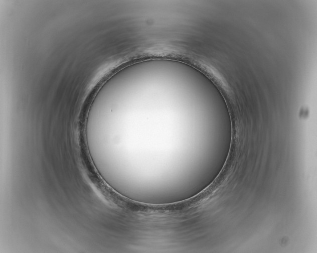 X0000092040626200709121006
