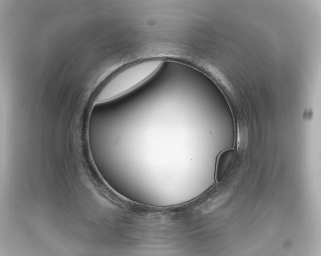 X0000092040627200709121006