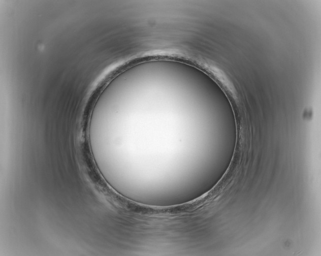 X0000092040628200709121006