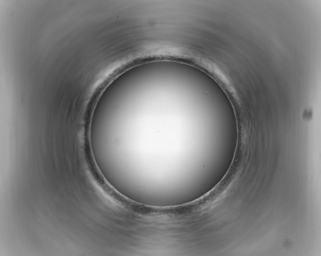 X0000092040629200709121006
