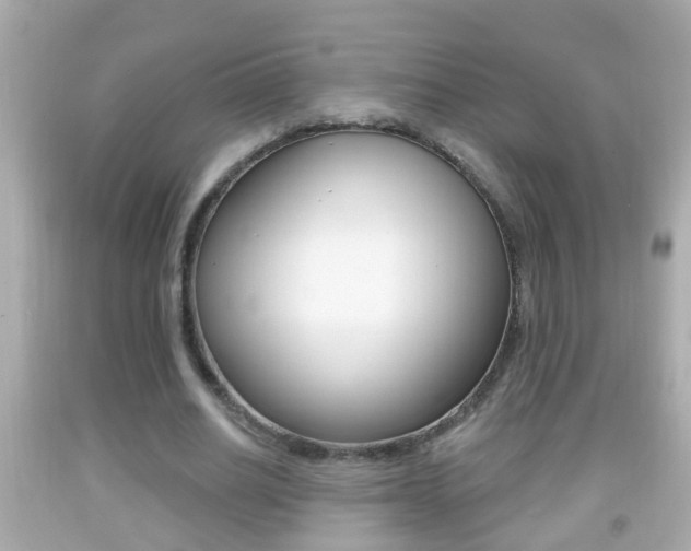 X0000092040630200709121006