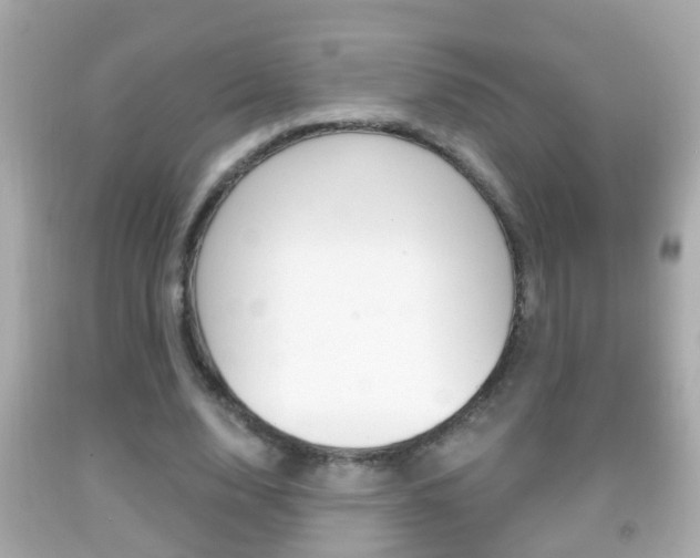 X0000092040632200709121006