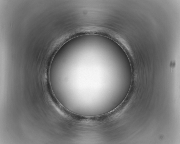 X0000092040633200709121006