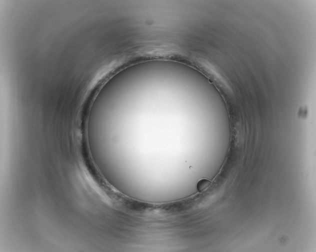 X0000092040634200709121006