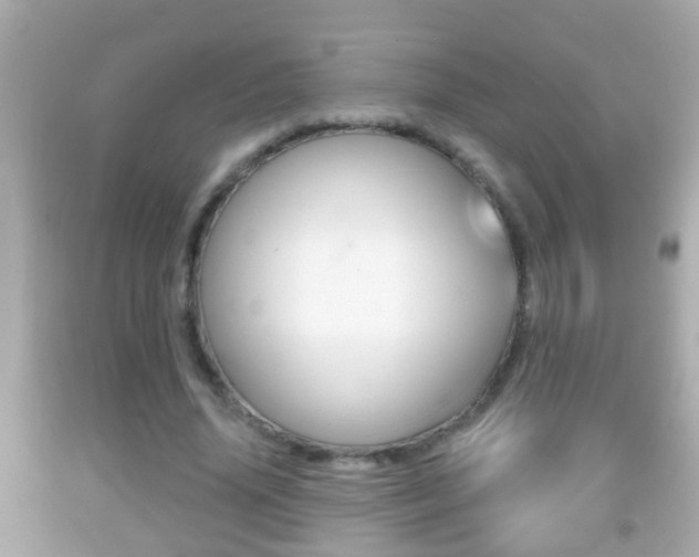 X0000092040636200709121006