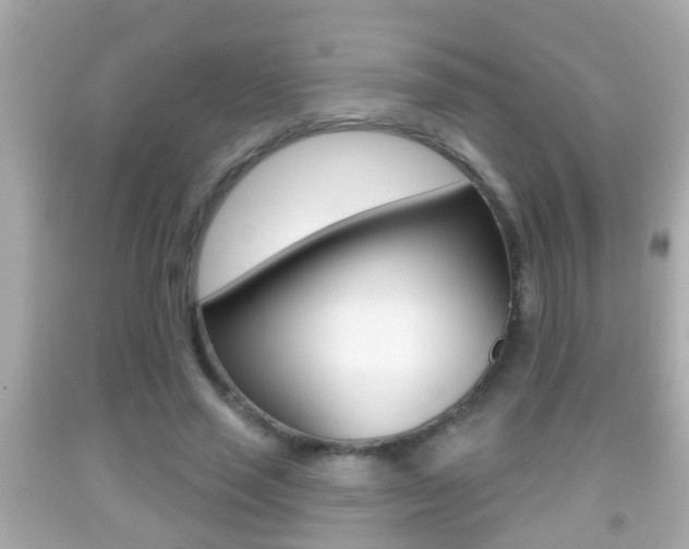 X0000092040637200709121006