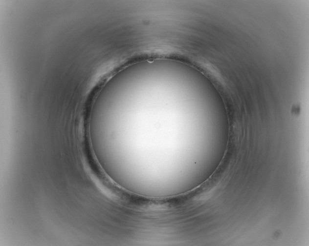 X0000092040638200709121006