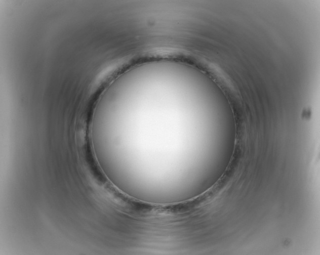 X0000092040640200709121006