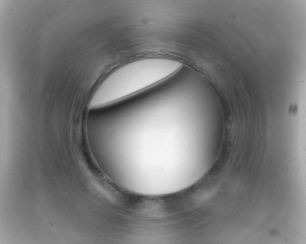 X0000092040642200709121006