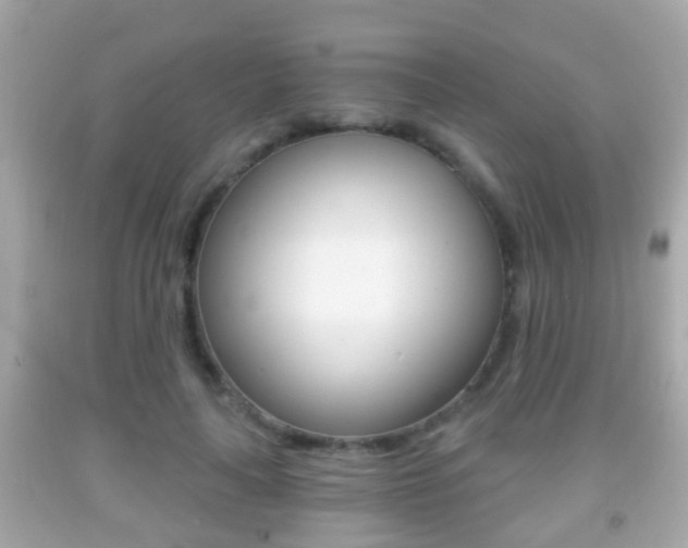 X0000092040643200709121006