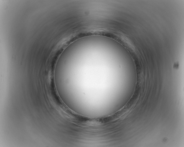 X0000092040644200709121006