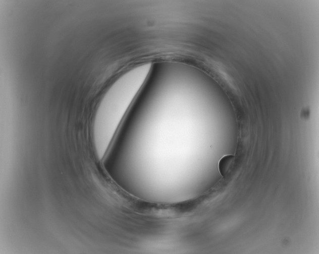 X0000092040645200709121006