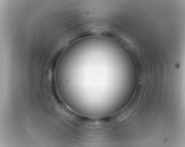 X0000092040646200709121006