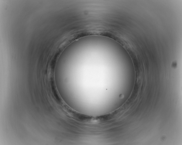 X0000092040647200709121006