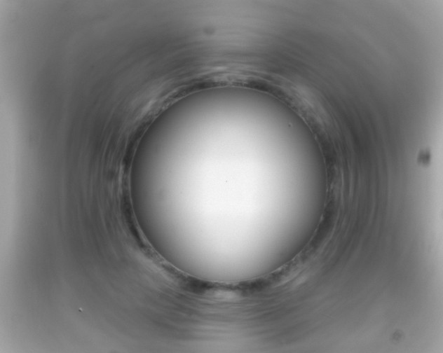 X0000092040649200709121006