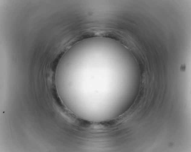 X0000092040650200709121006