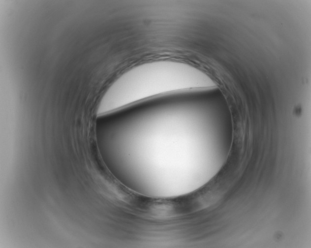X0000092040653200709121006