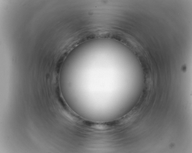 X0000092040654200709121006