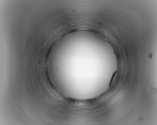 X0000092040655200709121006
