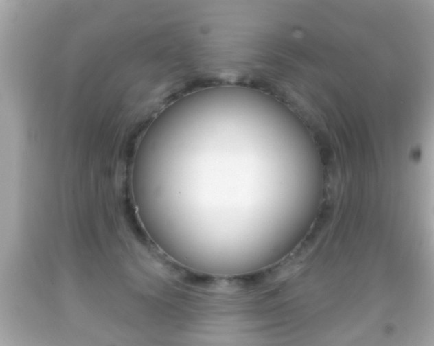 X0000092040656200709121006