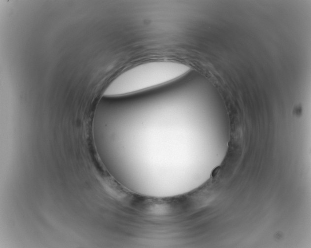 X0000092040658200709121006