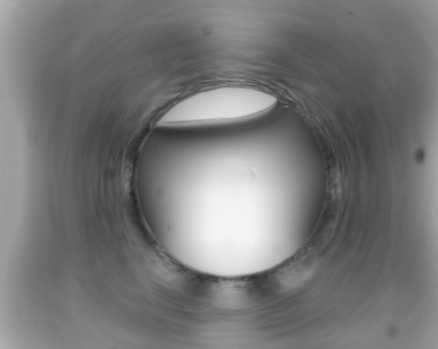 X0000092040664200709121006