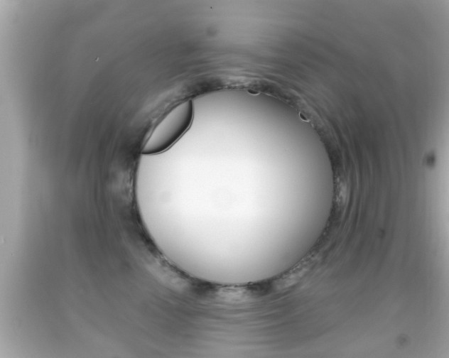 X0000092040666200709121006